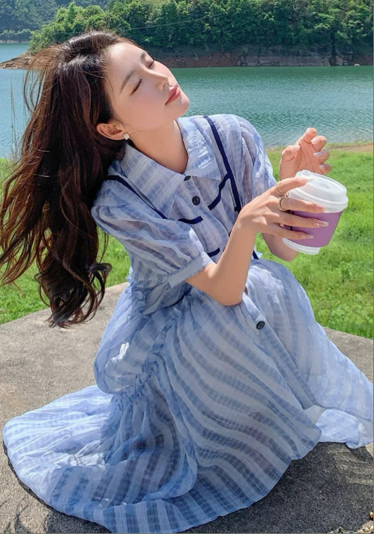 블루 스트라이프 스커트